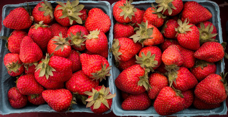 Strawberries at the farmers market