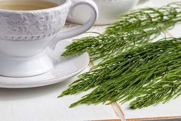 Fresh horsetail twigs with a cup of tea