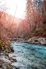 Autumn forest scenery with azure blue river and sun coming through trees, The Vintgar Gorge, Slovenia