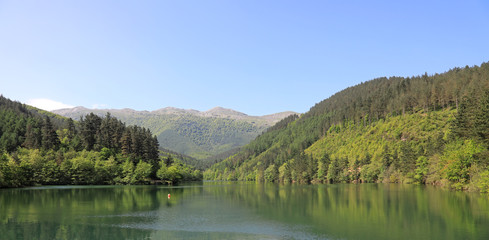 lago estanque pantano 4M0A6287-f18