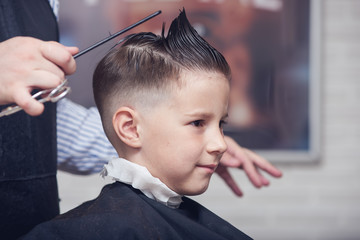 Cheerful Caucasian boy  getting hairstyle in barbershop.