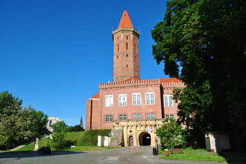Zamek piastowski w Legnicy © bnorbert3