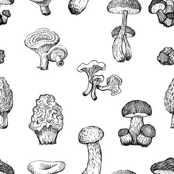 Pattern of the drawn edible mushrooms