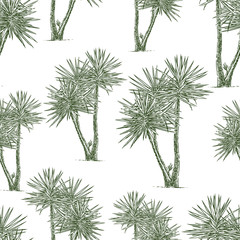 Seamless background of the garden palms  