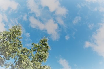 Fototapeta premium nuage coton