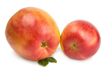 Red Apple isolated on white