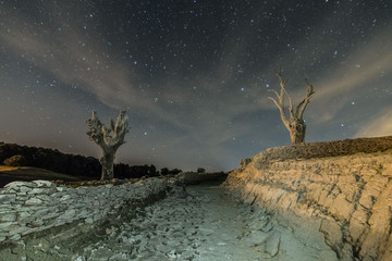 nocturnal night astrophotography