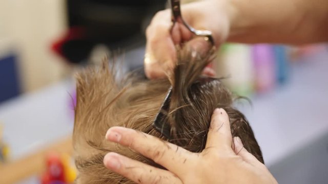 Stylist combing hair child. Woman making haircut for little boy. Child hair cut. Kids hair cut