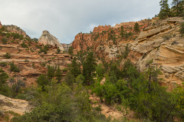 Beautiful scenery in Zion National Park, Utah.