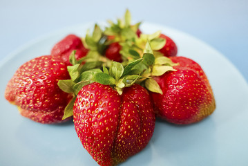 Ripe strawberries on a blue plate.