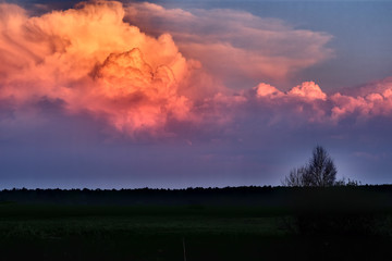 Obraz premium Sunset with Cumulus clouds.