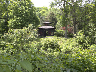 gazebo in the woods