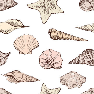 Seamless pattern of the seashells sketches