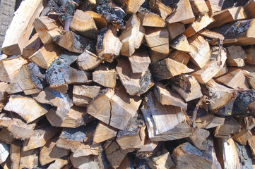 Pile of firewood background