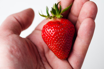 scattered strawberries on a white background