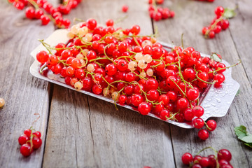 Fresh red current berries with water drops on the metal tray on the rustic wooden table. Summer vegitarian diet. Farmer harvest concept. Selective focus, space for text.