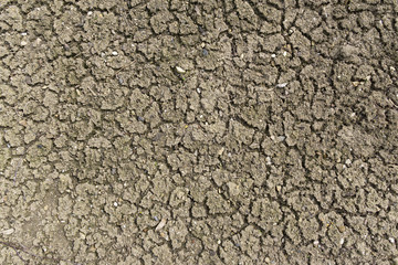 Drought, earth cracks, natural disasters.