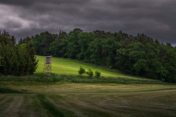 Hochstand am Waldrand