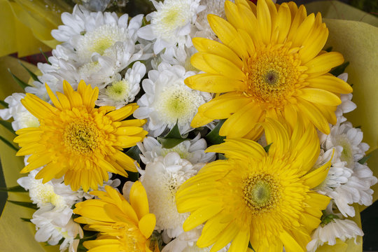 White and yellow herber flowers in bouquet. Yellow and white wedding bouquet. Floral decor.