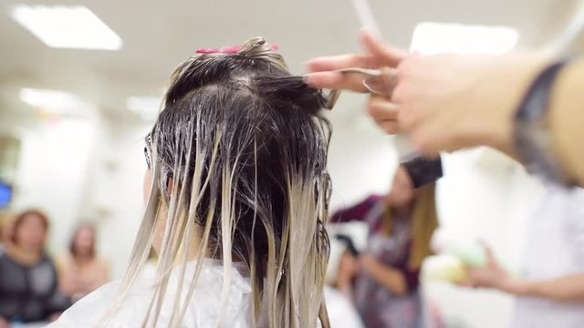 master class on hair coloring. Hairdresser dye the hair is the client girls.