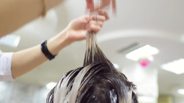 seminar or master class on hair coloring. Hair dyeing