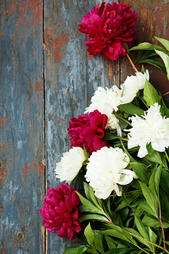 Peony background. Pink and peonies on wooden table with place for text. Spring flower peony. Happy Mothers Day. Mother's Day greetings card. Mothers Day gift. Copy space.