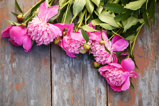 Peony background. Pink and peonies on wooden table with place for text. Spring flower peony. Happy Mothers Day. Mother's Day greetings card. Mothers Day gift. Copy space.