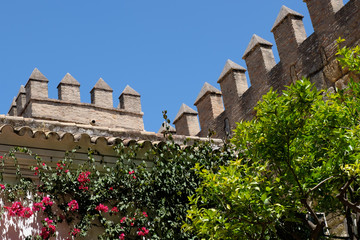 Fototapeta na wymiar Mauer des Königpalast Real Alcazar in Sevilla, Spanien