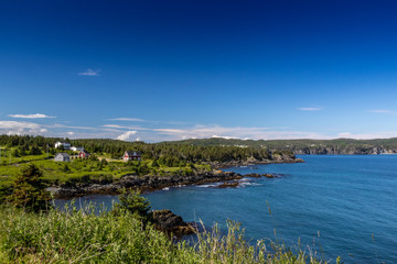 Newfoundland coastal landscape