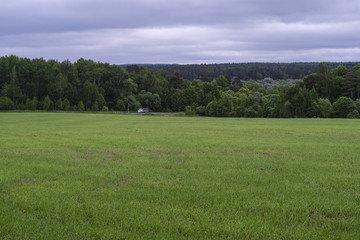 Field, trees and the cloudy sky