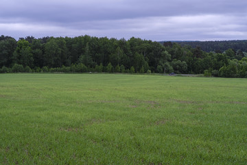 Field, trees and the cloudy sky