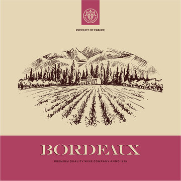 wine label, vineyard landscape hand drawn illustration