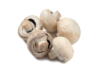White champignons