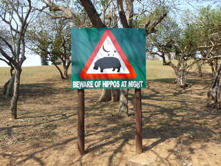 Beware of hippos