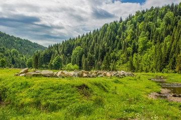 Fototapeta na wymiar mountain valley forest landscape