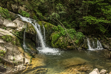 Fototapeta na wymiar green forest mountain landscape with small waterfall