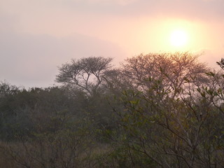 Fototapeta na wymiar South African Sunset