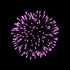 Firework pink bursting isolated background. Beautiful night fire, explosion decoration, holiday, Christmas, New Year. Symbol festival, American 4th july celebration. Vector illustration