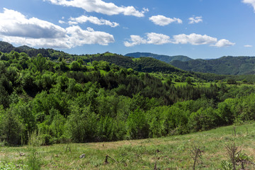 Fototapeta na wymiar Amazing landscape of Green Hills near Village of Borovo in Rhodope Mountains, Plovdiv region, Bulgaria