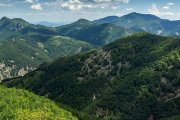 Naklejka premium Amazing landscape of Green Hills near Krastova gora (Cross Forest) in Rhodope Mountains, Plovdiv region, Bulgaria