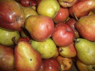 ripe red pears