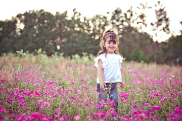 Little girl in a purple flower field during the evening golden light in the summer
