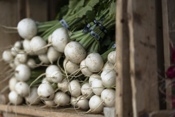 Organic White Turnip