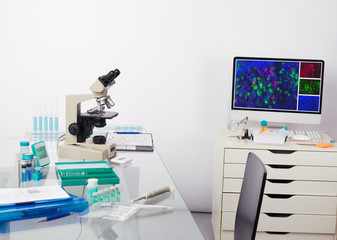 Microscope, computer monitor with digital fluorescent image and tools for histological staining of...