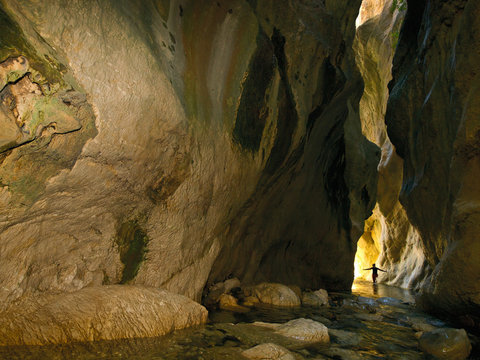 walking in Sawcut Gorge, South Malborough New Zealand