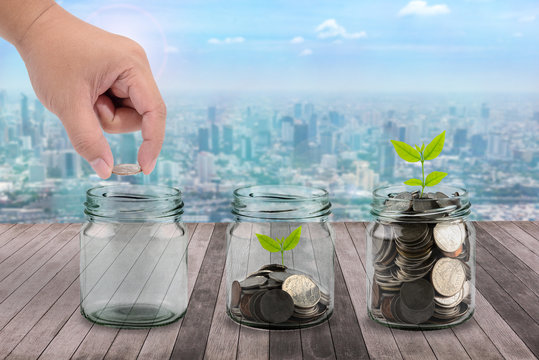 Male hand putting money coins in clear bottle and little tree on wooden Plank concept business finance