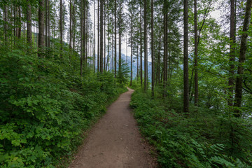 Fototapeta premium Almseeufer