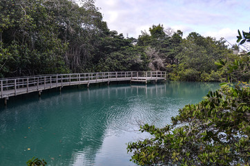Fototapeta na wymiar Laguna de las Ninfas, a saltwater lagoon in the town of Puerto Ayora, on Santa Cruz island in the Galapagos Islands.