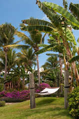 Hammock beneath palm trees in Providenciales, Turks & Caicos
