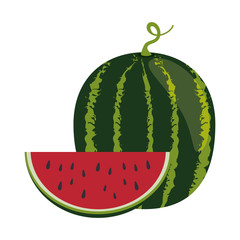 fresh watermelon fruit icon vector illustration design